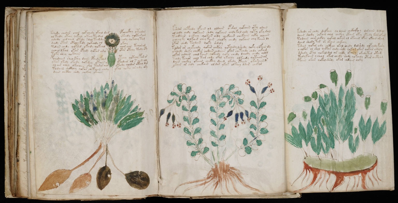[VICE] A jornada para entender e traduzir o manuscrito Voynich